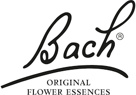Bach