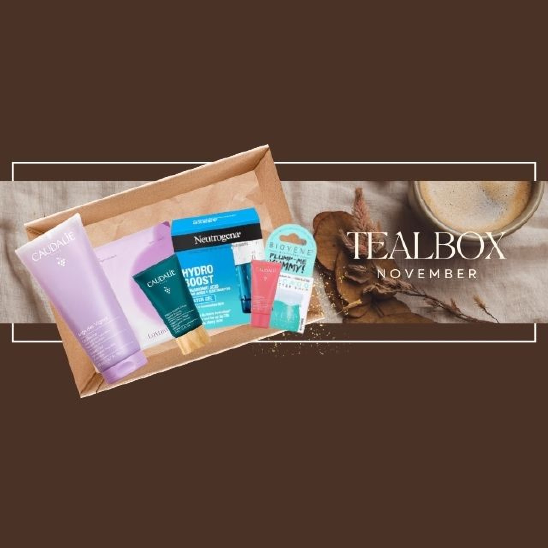 TEALBOX NOVEMBER 2025