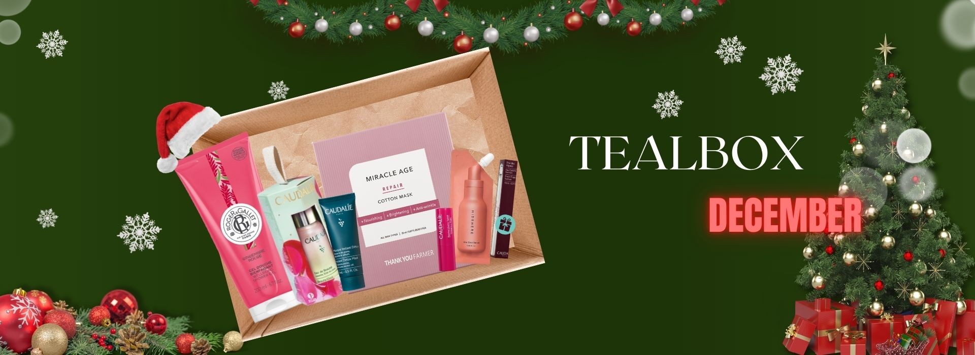 TEALBOX DECEMBER 2025