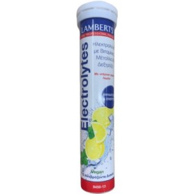 LAMBERTS ELECTROLYTE EFFERVESCENT LIME VEGAN 13 TABLETS