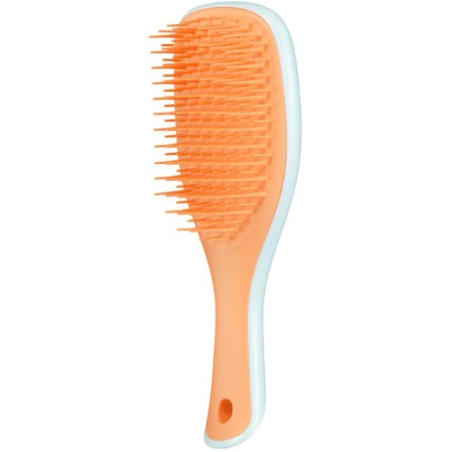 TANGLE TEEZER THE MINI ULTIMATE DETANGLER ICE BLUE & SWEET ORANGE