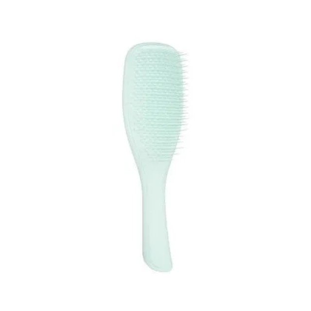 TANGLE TEEZER THE ULTIMATE DETANGLER FINE & FRAGILE ICE BLUE