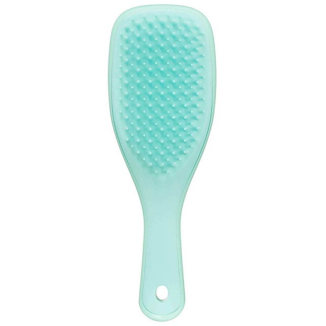 TANGLE TEEZER THE MINI WET DETANGLER Mint/Mint