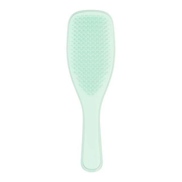 TANGLE TEEZER THE WET DETANGLER F&F MINT/MINT(ΛΕΠΤΑ & ΕΥΘΡ)